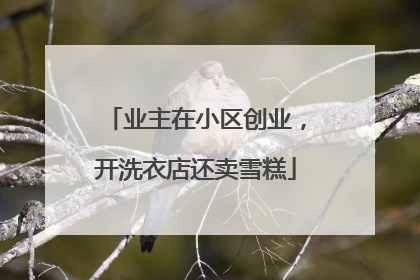业主在小区创业，开洗衣店还卖雪糕