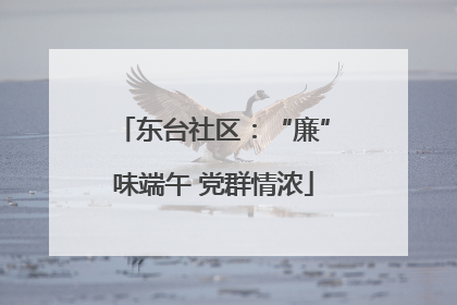 东台社区：“廉”味端午 党群情浓