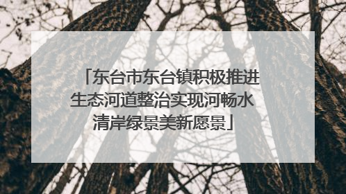 东台市东台镇积极推进生态河道整治实现河畅水清岸绿景美新愿景
