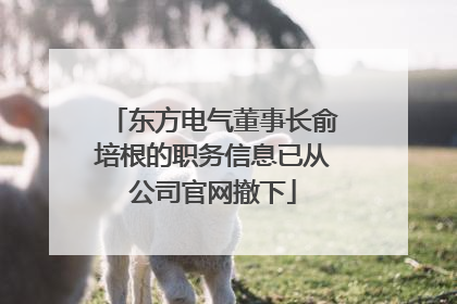 东方电气董事长俞培根的职务信息已从公司官网撤下
