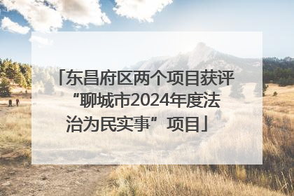 东昌府区两个项目获评“聊城市2024年度法治为民实事”项目
