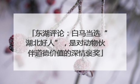 东湖评论：白马当选“湖北好人”，是对动物伙伴道德价值的深情褒奖