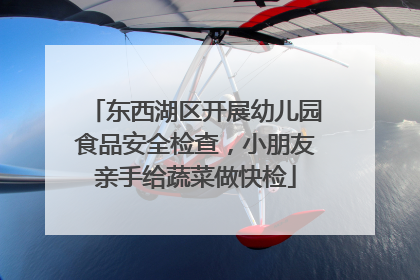 东西湖区开展幼儿园食品安全检查，小朋友亲手给蔬菜做快检