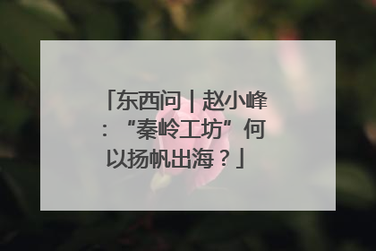 东西问｜赵小峰：“秦岭工坊”何以扬帆出海？