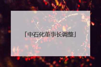 中石化董事长调整