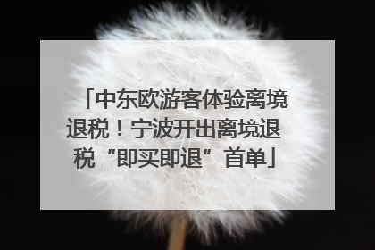 中东欧游客体验离境退税！宁波开出离境退税“即买即退”首单
