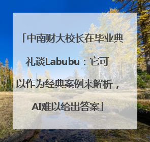 中南财大校长在毕业典礼谈Labubu：它可以作为经典案例来解析，AI难以给出答案
