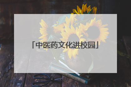 中医药文化进校园