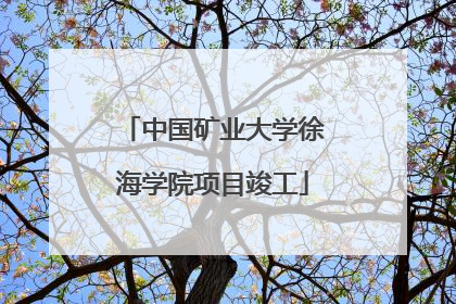 中国矿业大学徐海学院项目竣工