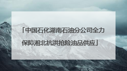 中国石化湖南石油分公司全力保障湘北抗洪抢险油品供应