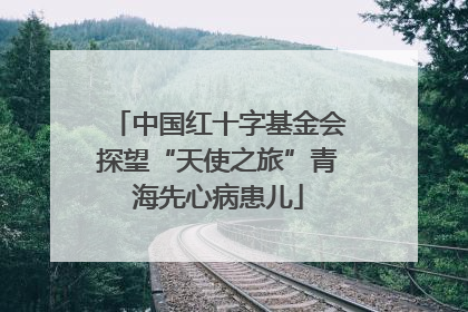 中国红十字基金会探望“天使之旅”青海先心病患儿