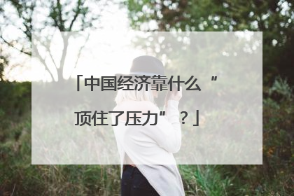 中国经济靠什么“顶住了压力”？