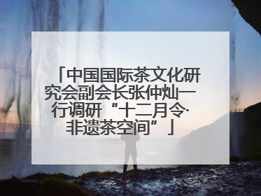 中国国际茶文化研究会副会长张仲灿一行调研“十二月令·非遗茶空间”