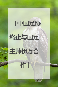 中国足协终止与国足主帅伊万合作