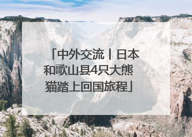 中外交流丨日本和歌山县4只大熊猫踏上回国旅程