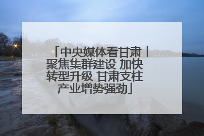 中央媒体看甘肃丨聚焦集群建设 加快转型升级 甘肃支柱产业增势强劲