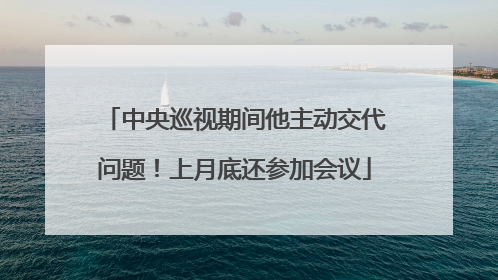 中央巡视期间他主动交代问题！上月底还参加会议