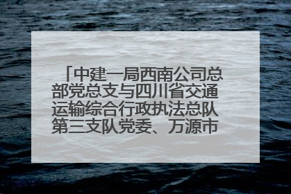 中建一局西南公司总部党总支与四川省交通运输综合行政执法总队第三支队党委、万源市草坝镇莲花院村党支部开展党建联建