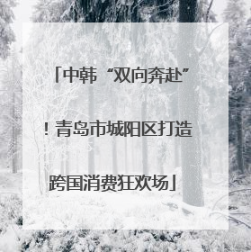 中韩“双向奔赴”！青岛市城阳区打造跨国消费狂欢场