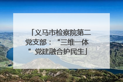 义马市检察院第二党支部：“三维一体”党建融合护民生