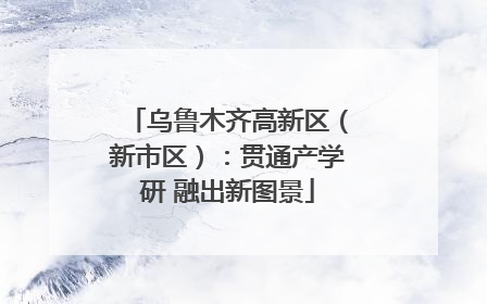 乌鲁木齐高新区（新市区）：贯通产学研 融出新图景