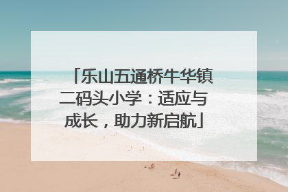 乐山五通桥牛华镇二码头小学：适应与成长，助力新启航
