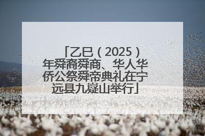 乙巳（2025）年舜裔舜商、华人华侨公祭舜帝典礼在宁远县九嶷山举行