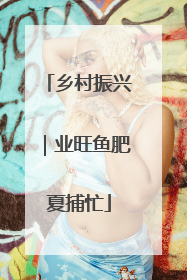 乡村振兴｜业旺鱼肥夏捕忙