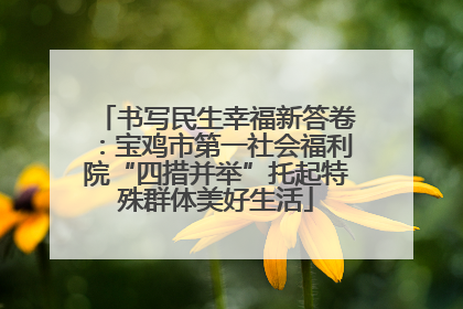书写民生幸福新答卷：宝鸡市第一社会福利院“四措并举”托起特殊群体美好生活