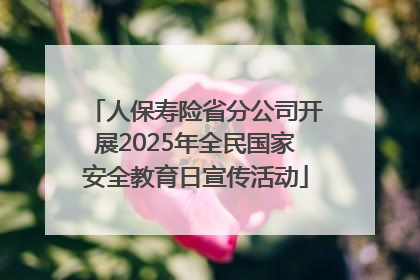 人保寿险省分公司开展2025年全民国家安全教育日宣传活动