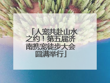 人宠共赴山水之约！第五届济南携宠徒步大会圆满举行
