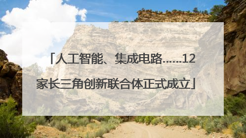 人工智能、集成电路……12家长三角创新联合体正式成立