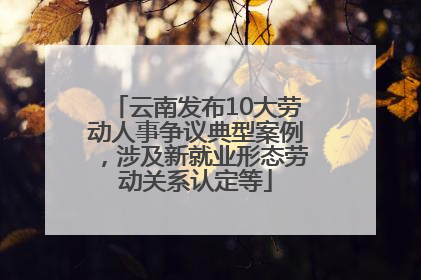 云南发布10大劳动人事争议典型案例，涉及新就业形态劳动关系认定等