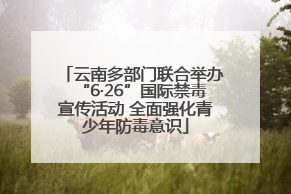 云南多部门联合举办“6·26”国际禁毒宣传活动 全面强化青少年防毒意识