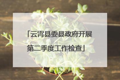 云霄县委县政府开展第二季度工作检查