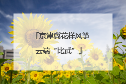 京津冀花样风筝云端“比武”