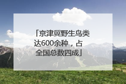 京津冀野生鸟类达600余种，占全国总数四成