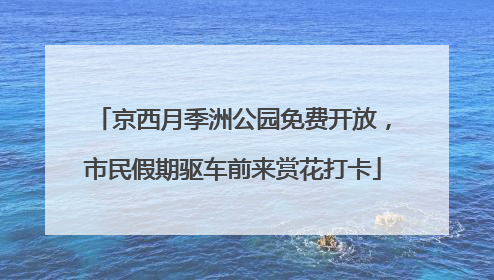 京西月季洲公园免费开放，市民假期驱车前来赏花打卡