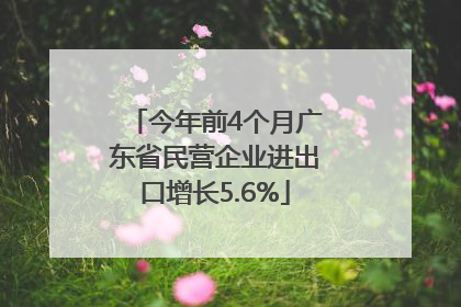 今年前4个月广东省民营企业进出口增长5.6%