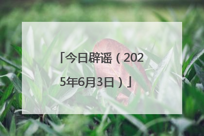 今日辟谣（2025年6月3日）
