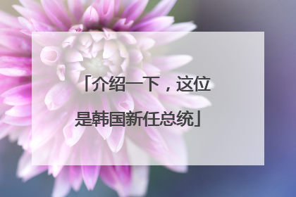介绍一下，这位是韩国新任总统