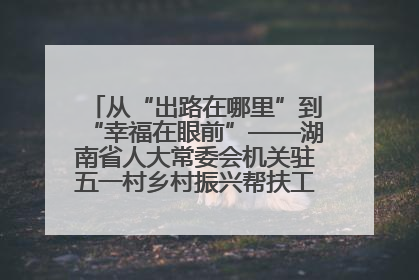 从“出路在哪里”到“幸福在眼前”——湖南省人大常委会机关驻五一村乡村振兴帮扶工作队书写振兴答卷