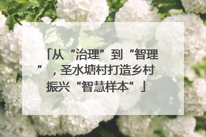 从“治理”到“智理”，圣水塘村打造乡村振兴“智慧样本”