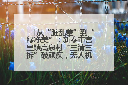 从“脏乱差”到“绿净美”：新泰市宫里镇高泉村“三清三拆”破顽疾，无人机“天眼”护新颜