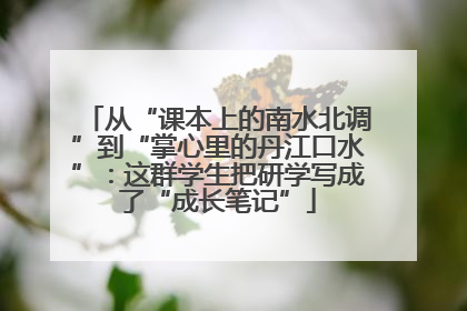 从“课本上的南水北调”到“掌心里的丹江口水”：这群学生把研学写成了“成长笔记”