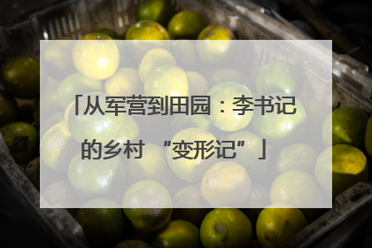 从军营到田园：李书记的乡村 “变形记”