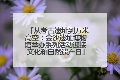 从考古遗址到万米高空：金沙遗址博物馆举办系列活动迎接文化和自然遗产日