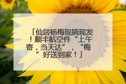 仙居杨梅现摘现发！顺丰航空件“上午寄，当天达”，“梅”好送到家！