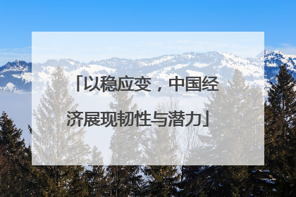 以稳应变，中国经济展现韧性与潜力