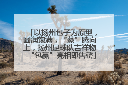 以扬州包子为原型，圆润饱满，“蒸”腾向上，扬州足球队吉祥物“包赢”亮相即售罄